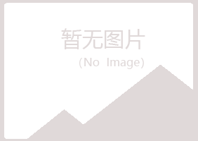 赤峰松山凌乱咨询有限公司